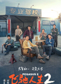 91丨porny丨在线中文